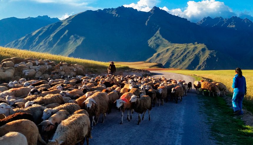 Facts to Know Before Your Trip to Peru Facts to Know Before Your Trip to Peru