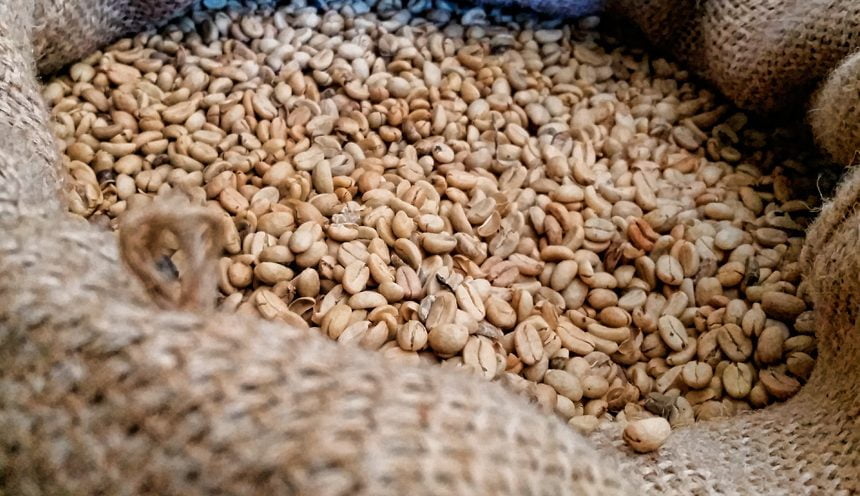 The Great Coffee of Peru The Great Coffee of Peru