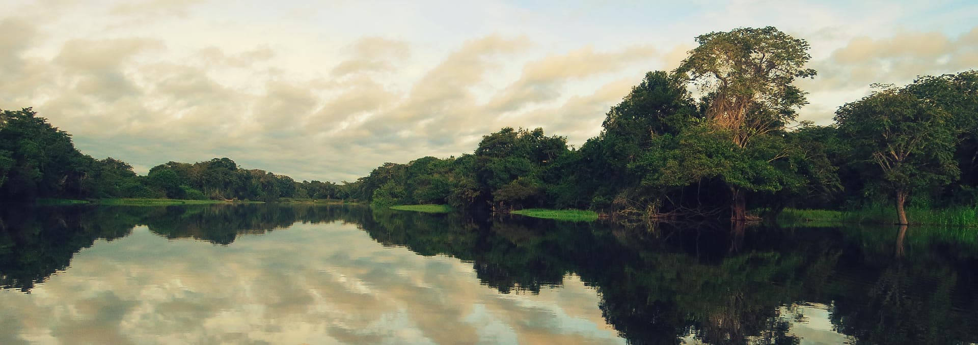 Pristine Peruvian Amazon river basin and dense rainforest canopy in Manu National Park