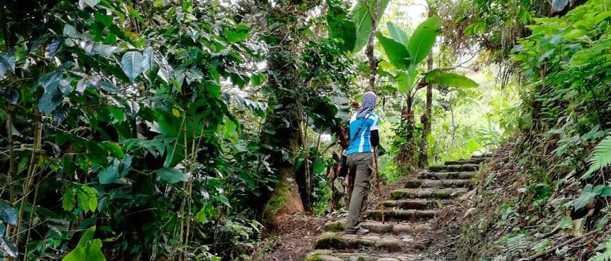 Mountain biking descent through Andean cloud forest on the Inca Jungle Trek to Machu Picchu