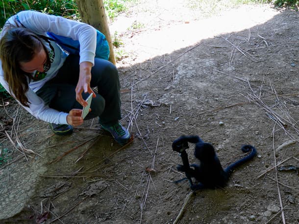 Manu National Park Deep Rainforest Expedition (4 Days / 3 Nights) - View 2 | Daspe Travel Eco-lodge nestled deep within the biodiverse Amazonian primary rainforest of Manu