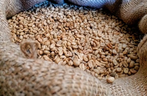 Kaffee Dschungel Tour nach Machu Picchu Kaffee Dschungel Tour nach Machu Picchu