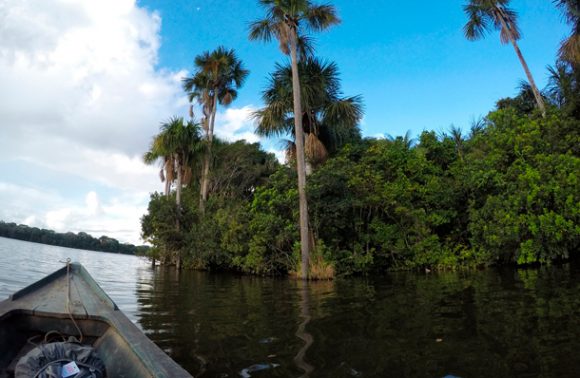 Sandoval Lake in Puerto Maldonado Sandoval Lake in Puerto Maldonado