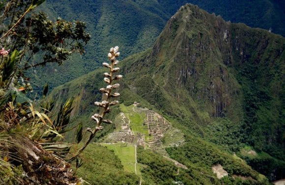 Machu Picchu Mountain Aussicht