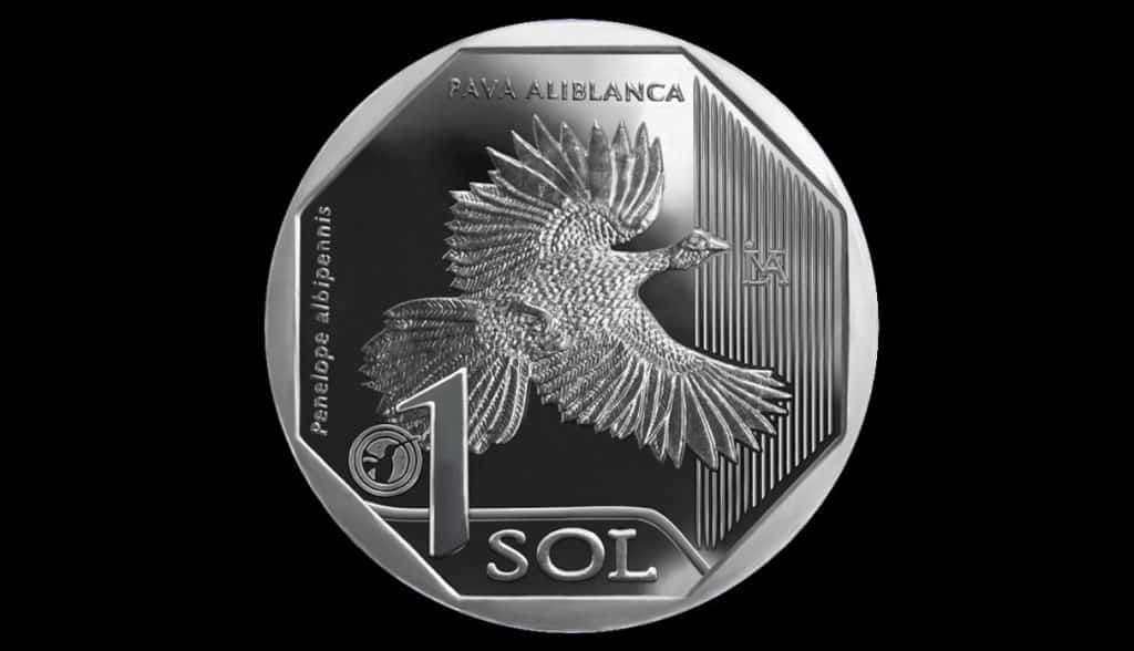 turkey, pava aliblaca, peru, peruvian sol, nuevo